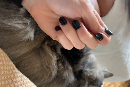 Black gel manicure Leuven nail salon